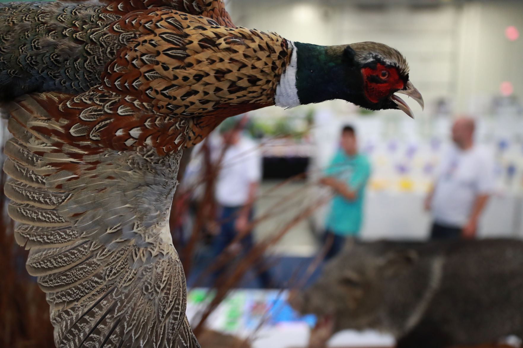 083019_StateFair0162_bjs.jpg